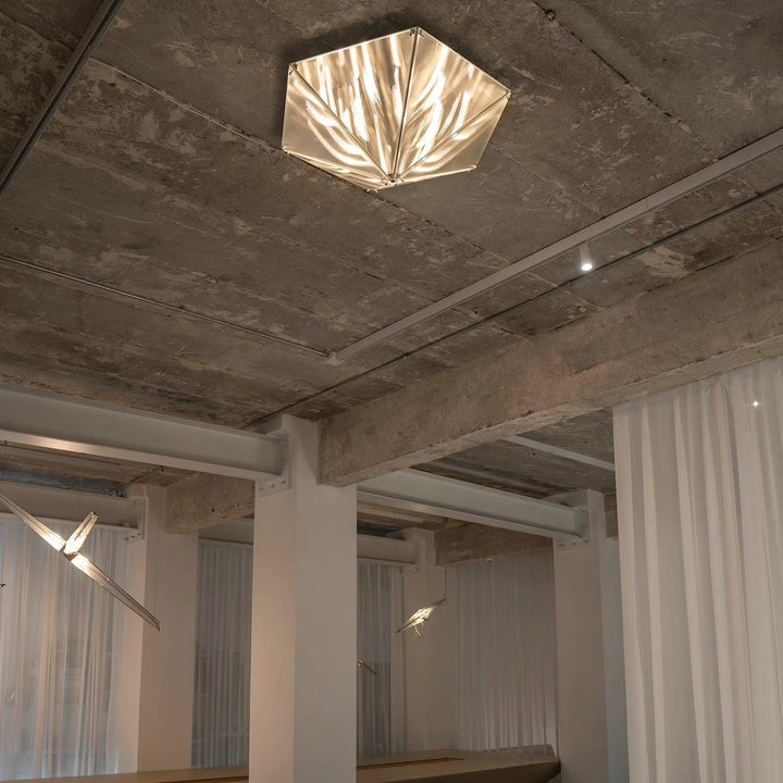 Fragment Celing Lamp 