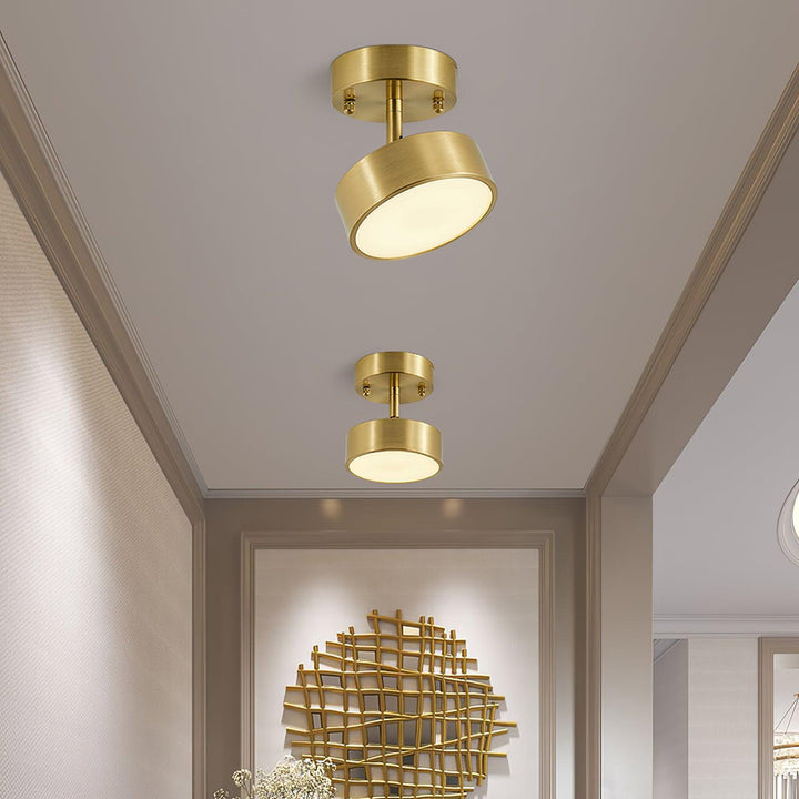 Hero Rotating Ceiling Lamp - Vakkerlight